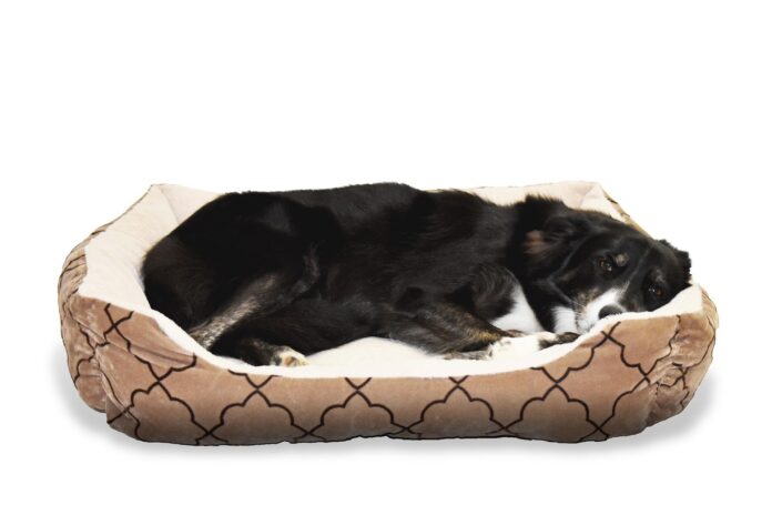 PupShow Dog Beds